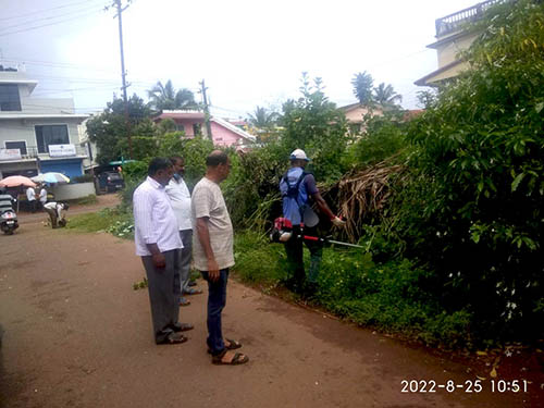 New Season de-weeding 2022 New Season de-weeding 2022