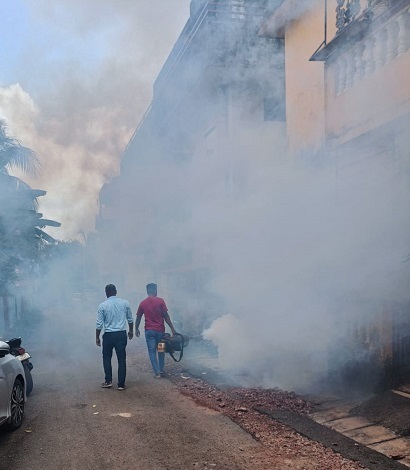 Several dengue infections detected in Vidyanagar. Several dengue infections detected in Vidyanagar.