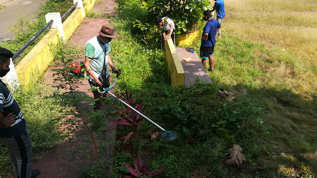 De-weeding ops begin De-weeding ops begin